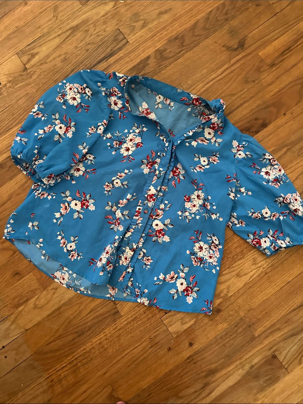 Floral Ruffle-Trim Button Front Blouse - Blue